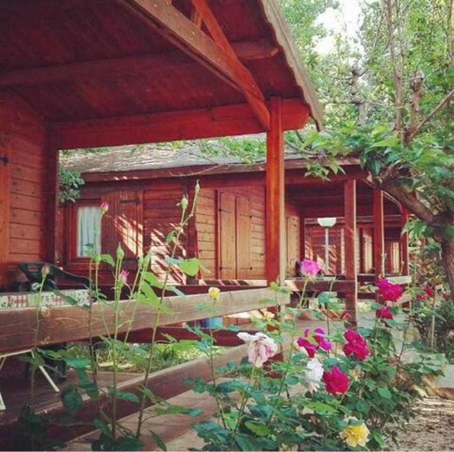 Bungalow & Camping Fuente De Regrustan Ґраус Екстер'єр фото